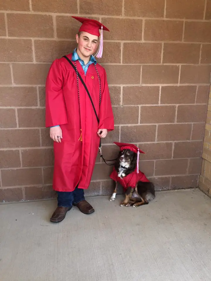 dog and teen