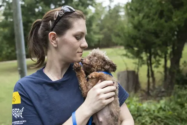 dog in puppy mill