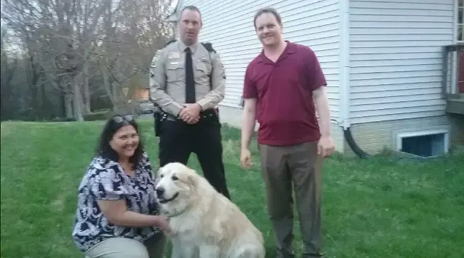 dog escapes to find family