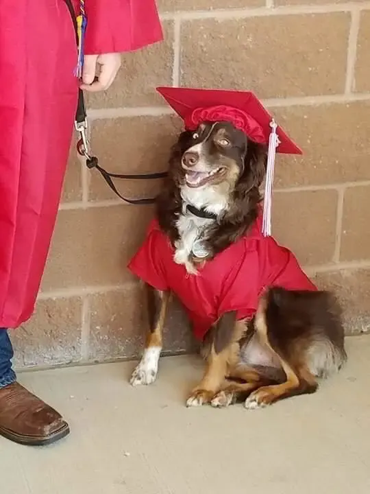 dog and teen