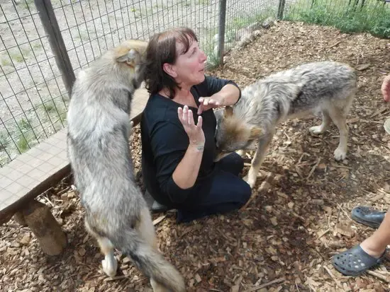 petting zoo slaughterhouse