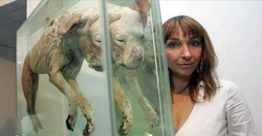 woman critter crush
