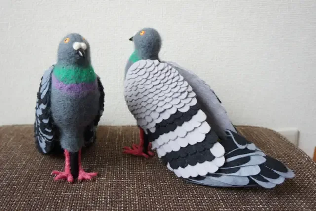 pigeon shoes