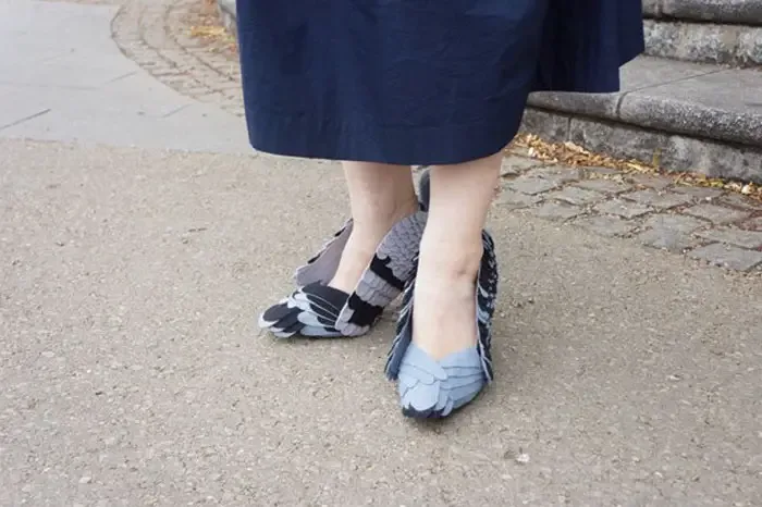 pigeon shoes