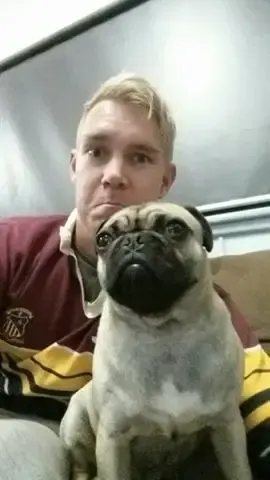 lost pug returned