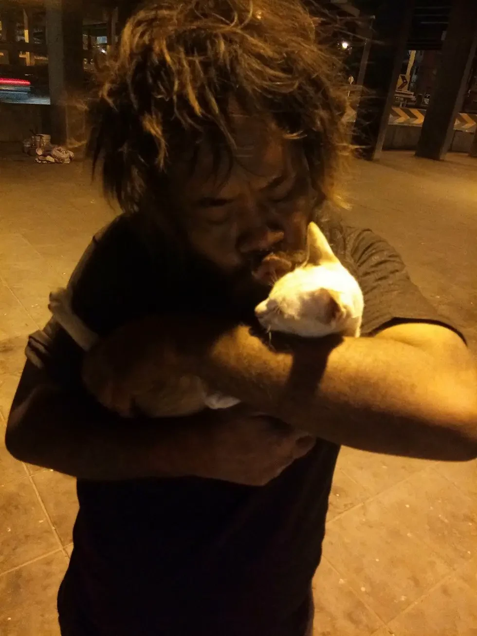 stray cat lover