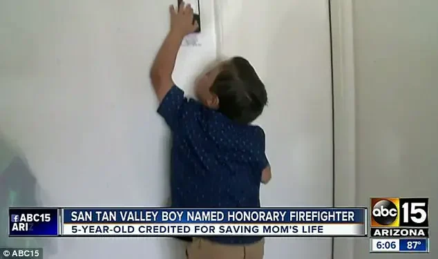 boy saves mother