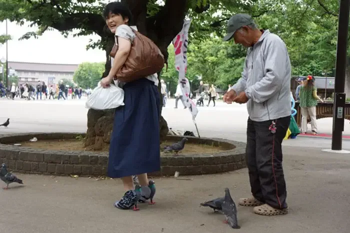 pigeon shoes