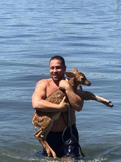 dog rescues fawn