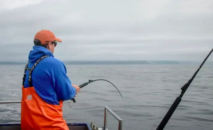 man catches big fish