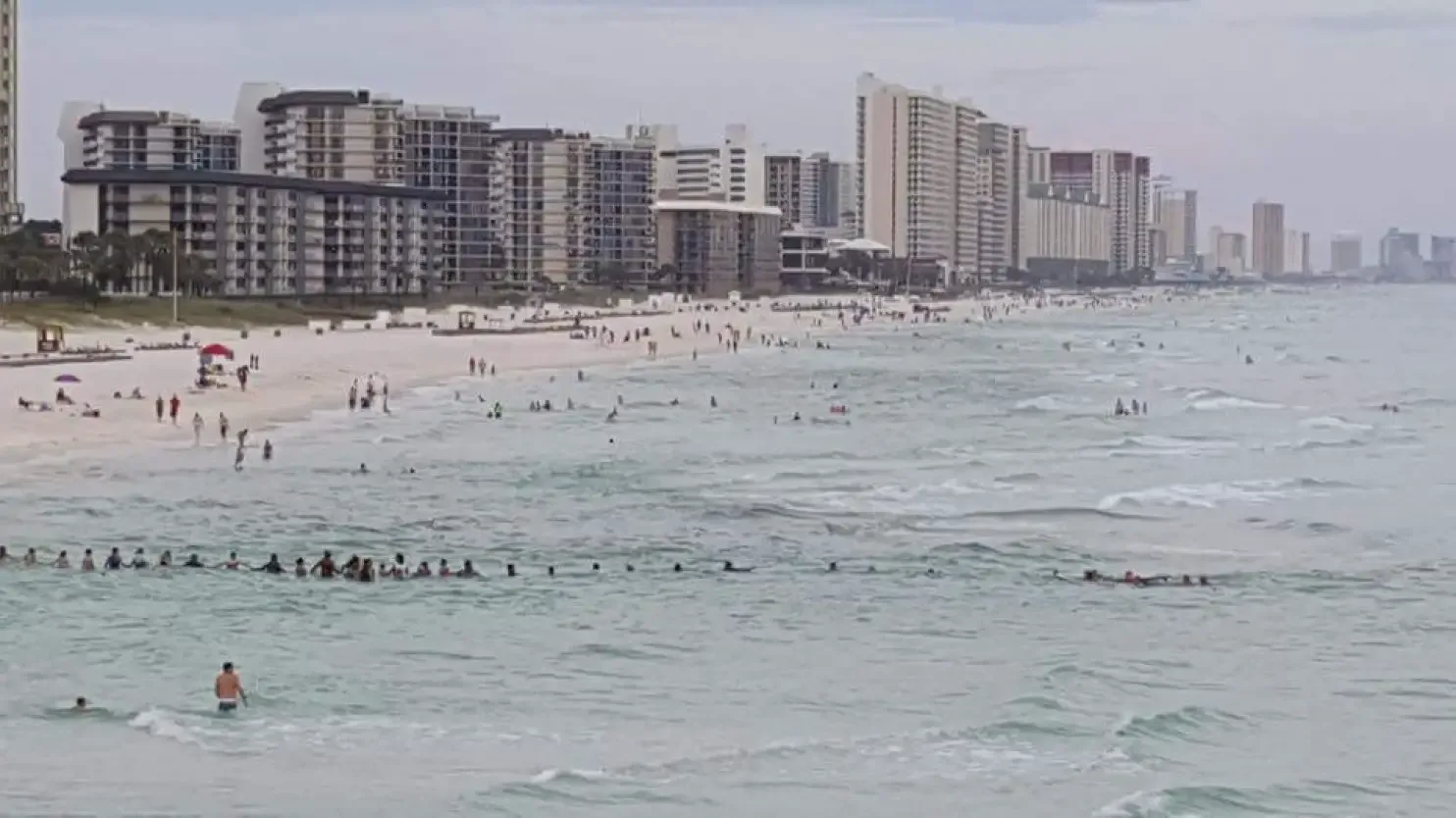 human chain to save lives