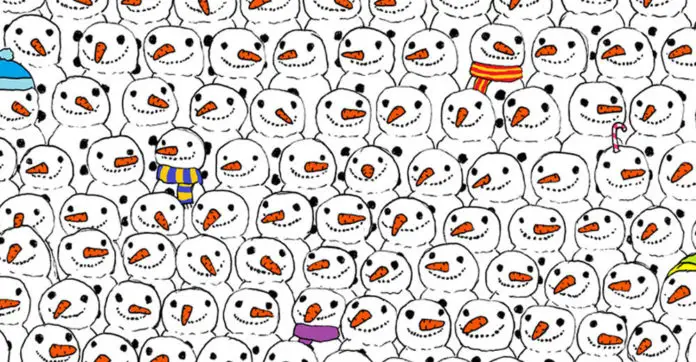 find-panda