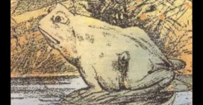 frog-horse-optical-illusion
