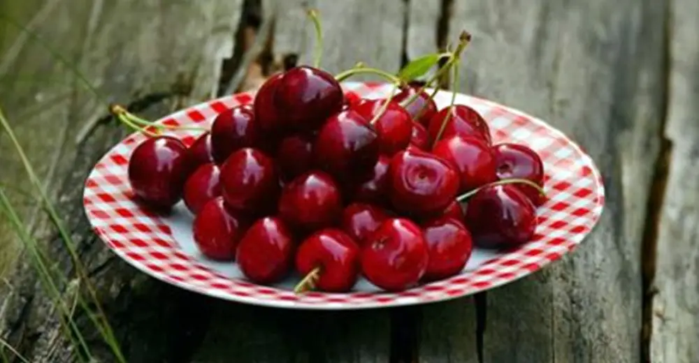 Man Nearly Dies After Eating Some Cherries And Now Officials Are