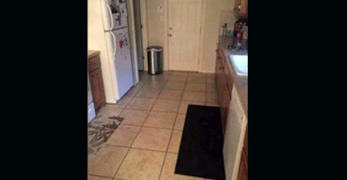 Can You Spot The Dog Hiding In The Kitchen Can You Spot The Dog Hiding In The Kitchen