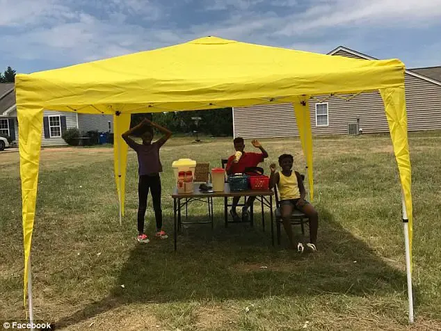 kids and lemonade stand