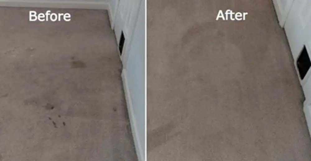 Here's A Simple And Easy Way To Remove Tough Stains From The Carpet
