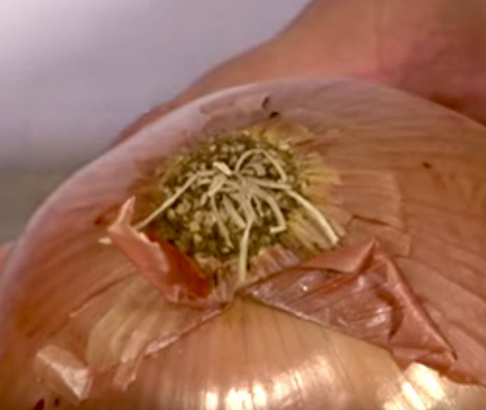 Chopping Onions Chef Shows How To Do It Without Crying
