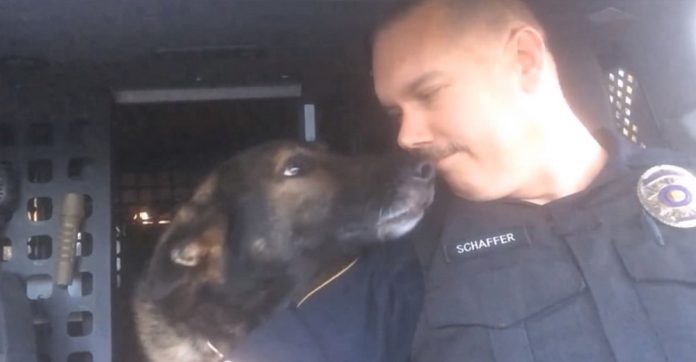 beloved-k-9-partner-final-call