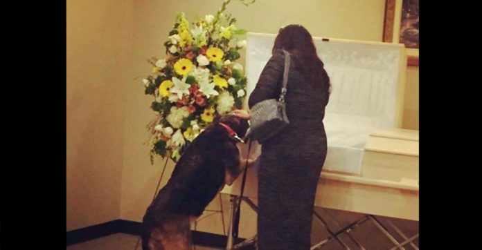 dog-looks-into-owners-casket