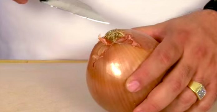 everyone-cuts-onions-wrong