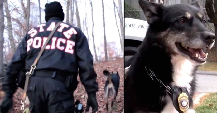 cop-rescues-unadoptable-shelter-dog
