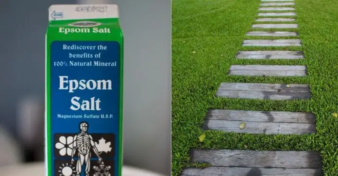 Epsom-Salt Epsom Salt