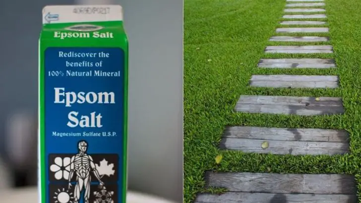 Epsom Salt