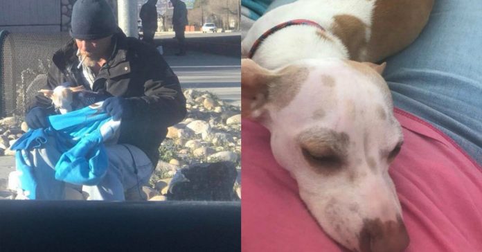 homeless-man-Ron-Howell-saves-dog homeless man Ron Howell saves dog