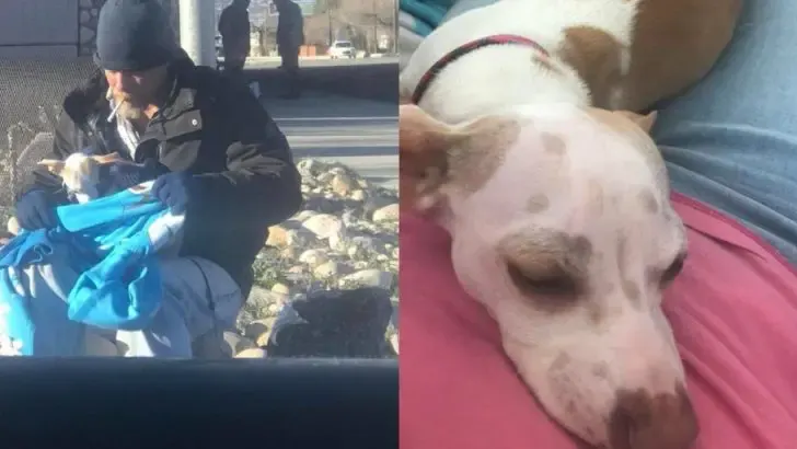 homeless man Ron Howell saves dog