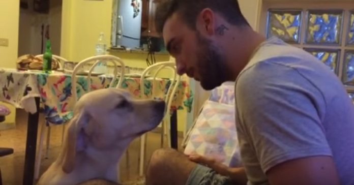 cute-dog-apology cute dog apology