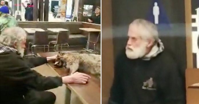 man-brought-in-dead-raccoon man brought in dead raccoon