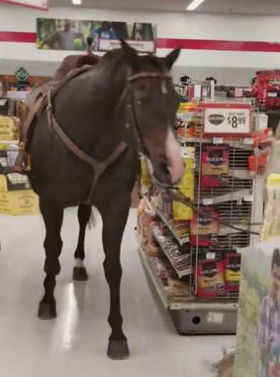 man brings horse to store