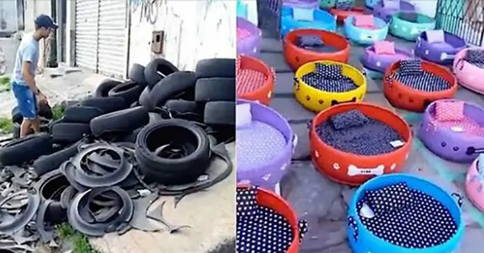 old-tires-cozy-beds-for-strays old tires cozy beds for strays