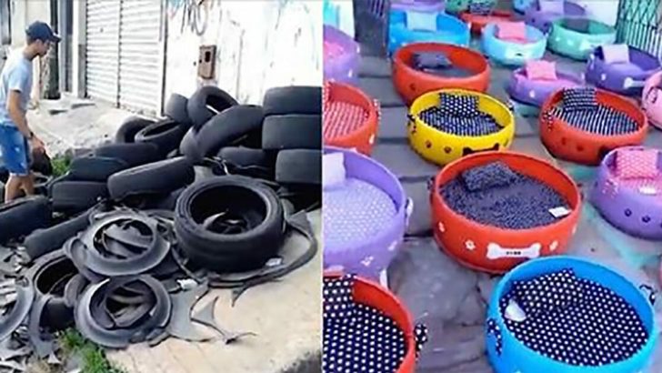old tires cozy beds for strays