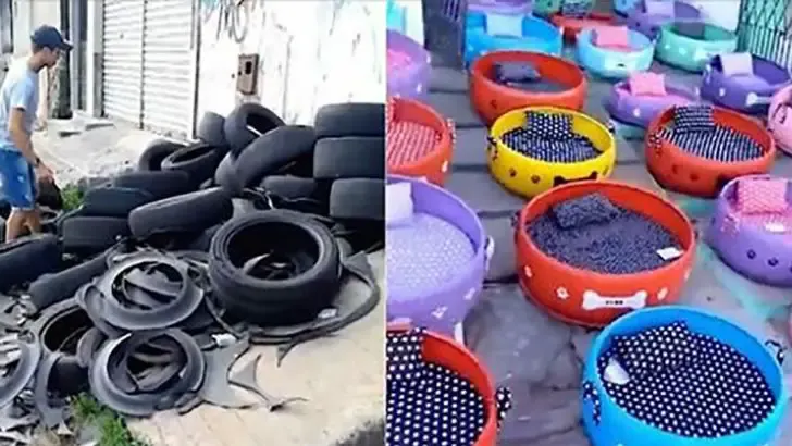 old tires cozy beds for strays
