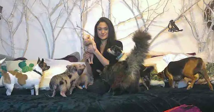 woman-90-rescue-animals woman 90 rescue animals