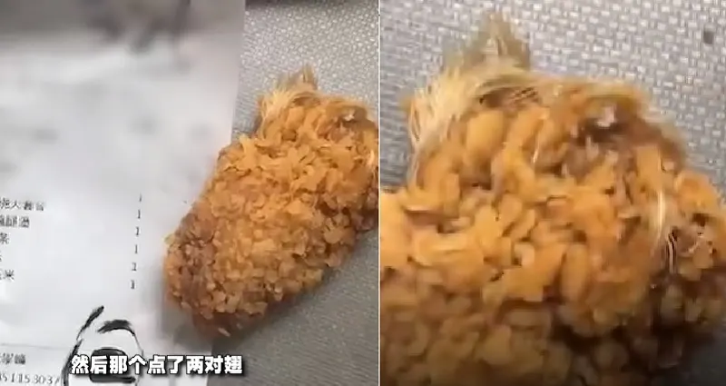 feathers mcdonalds chicken wings