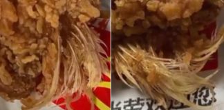 feathers mcdonalds chicken wings