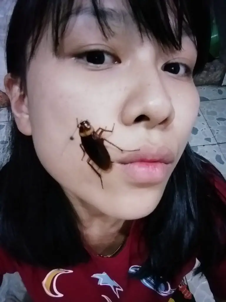 Cockroach On Face Challenge