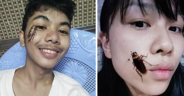 Cockroach On Face Challenge