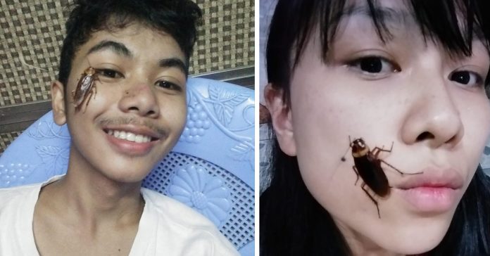 Cockroach-On-Face-Challenge Cockroach On Face Challenge