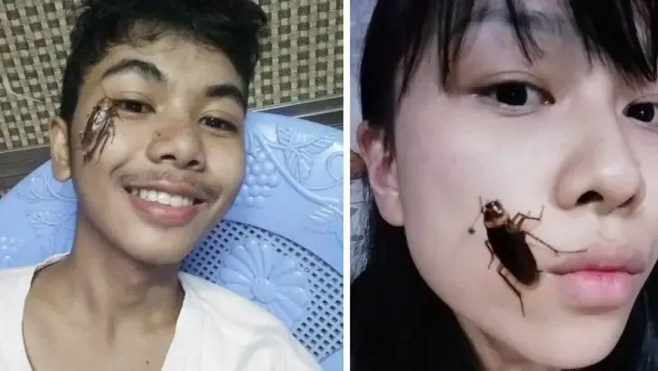 Cockroach On Face Challenge