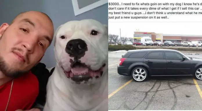 Randy Etter and dog Gemini