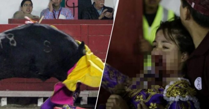 female-bullfighter-gored-in-face female bullfighter gored in face