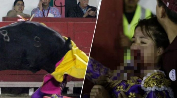 female bullfighter gored in face