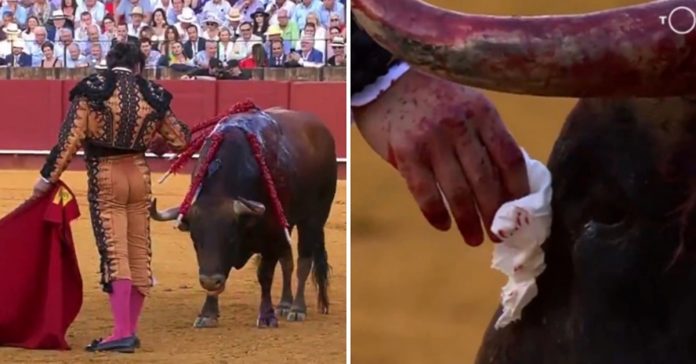 matador-wipe-bulls-tears matador wipe bulls tears