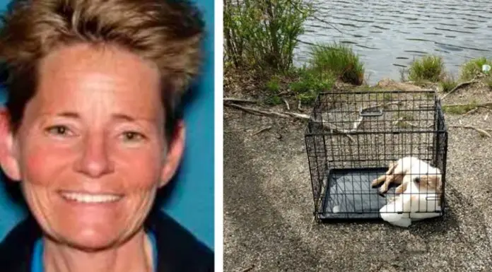 puppy drowned by cruel owner