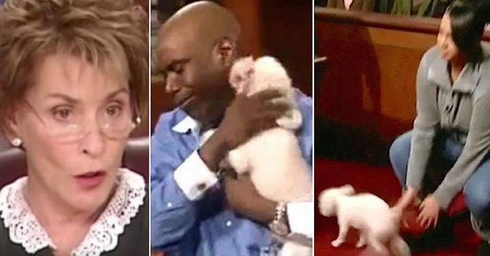 Judge-Judy-Stolen-Dog Judge Judy Stolen Dog