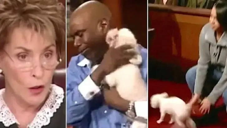 Judge Judy Stolen Dog